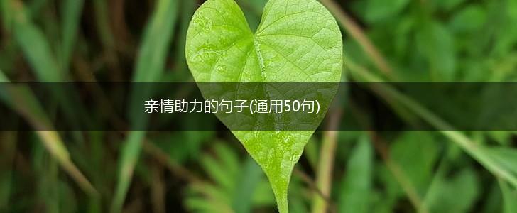 亲情助力的句子(通用50句),第1张
