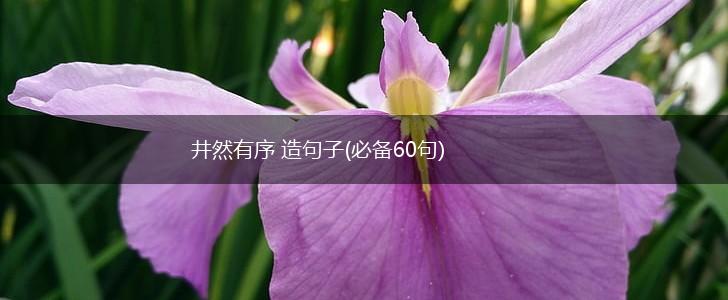 井然有序 造句子(必备60句),第1张