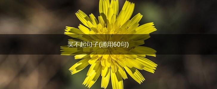 买不起句子(通用60句),第1张