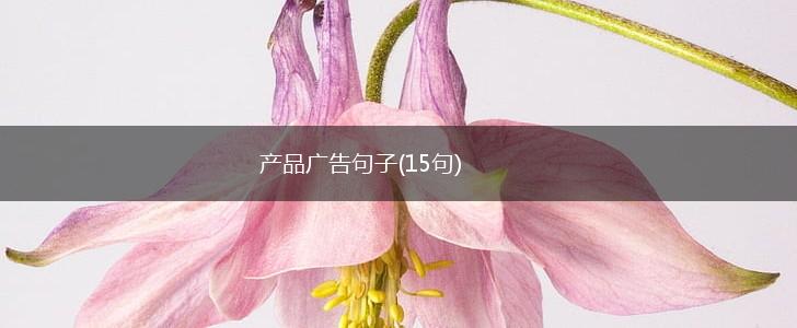 产品广告句子(15句),第1张