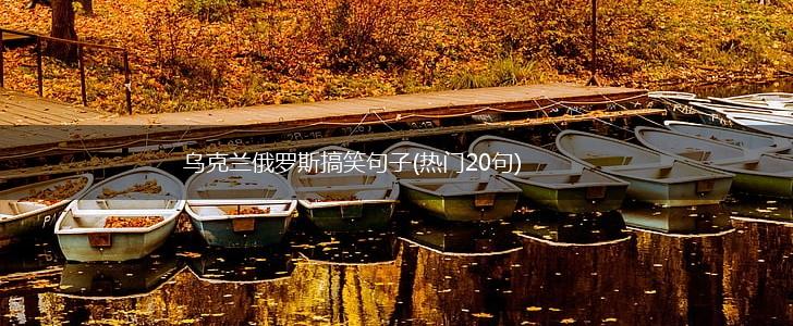乌克兰俄罗斯搞笑句子(热门20句),第1张