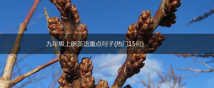 九年级上册英语重点句子(热门15句),第1张