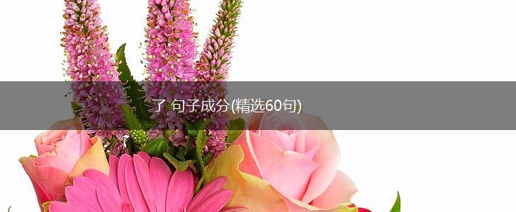 了 句子成分(精选60句),第1张