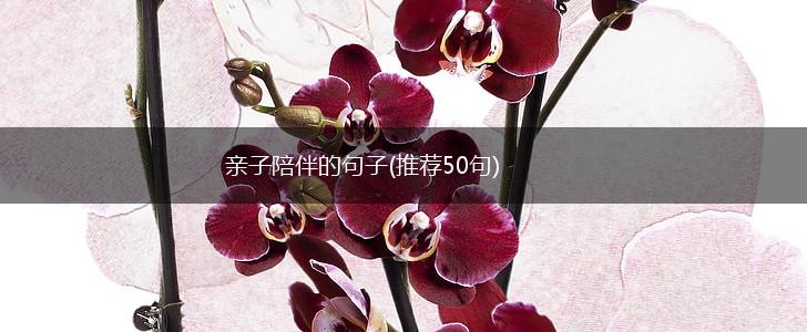 亲子陪伴的句子(推荐50句),第1张