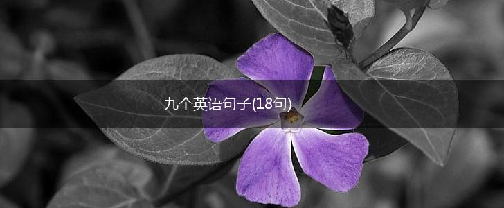九个英语句子(18句),第1张