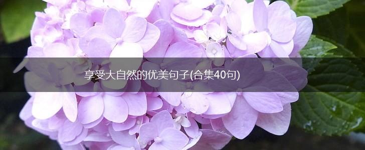 享受大自然的优美句子(合集40句),第1张