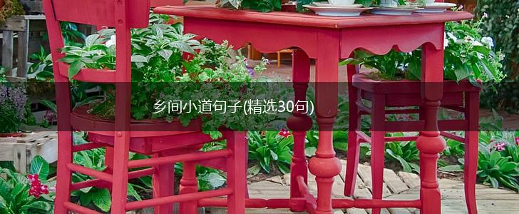 乡间小道句子(精选30句),第1张