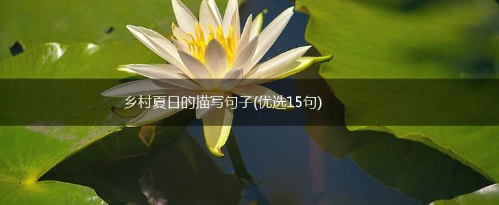 乡村夏日的描写句子(优选15句),第1张