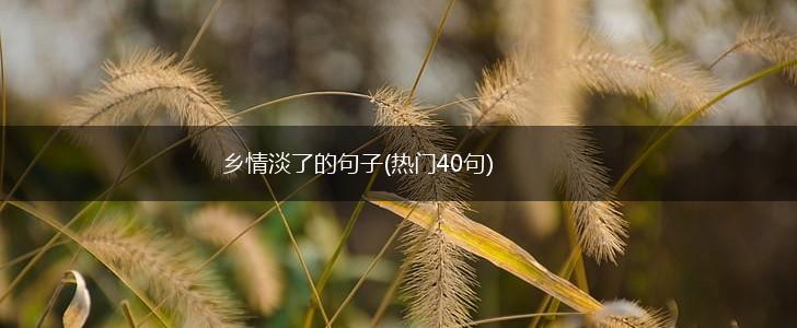 乡情淡了的句子(热门40句),第1张