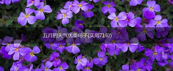 五月的天气优美句子(实用71句),第1张