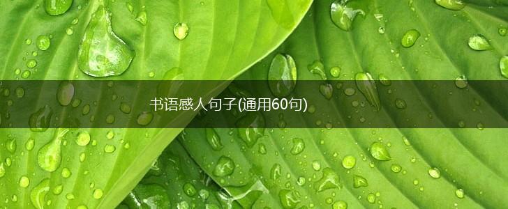 书语感人句子(通用60句),第1张
