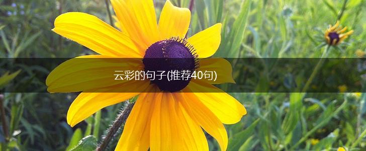 云彩的句子(推荐40句),第1张