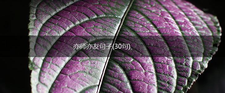 亦师亦友句子(30句),第1张