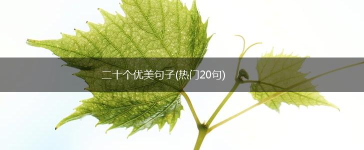 二十个优美句子(热门20句),第1张