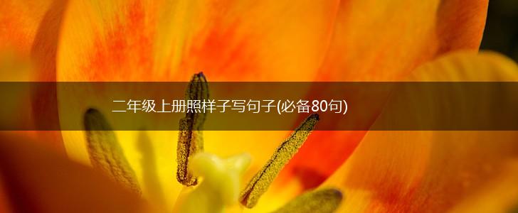 二年级上册照样子写句子(必备80句),第1张