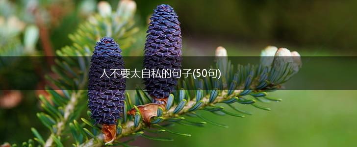 人不要太自私的句子(50句),第1张