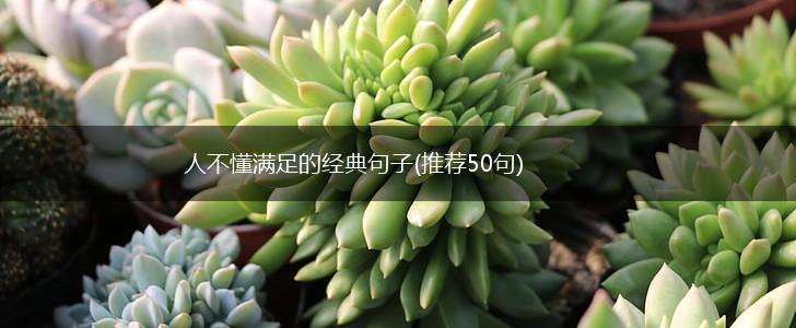 人不懂满足的经典句子(推荐50句),第1张