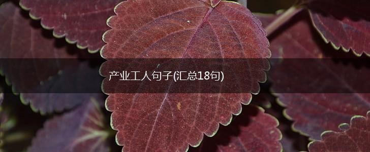 产业工人句子(汇总18句),第1张