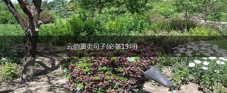 云韵萧炎句子(必备19句),第1张