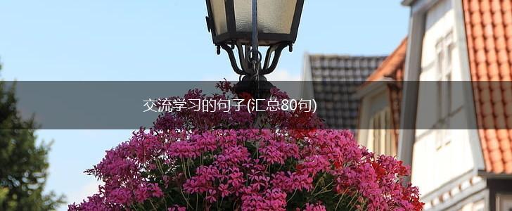 交流学习的句子(汇总80句),第1张