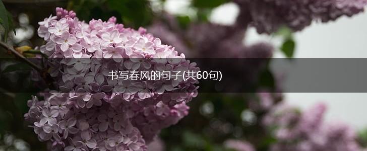 书写春风的句子(共60句),第1张