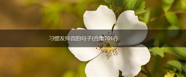 习惯发抖音的句子(合集70句),第1张