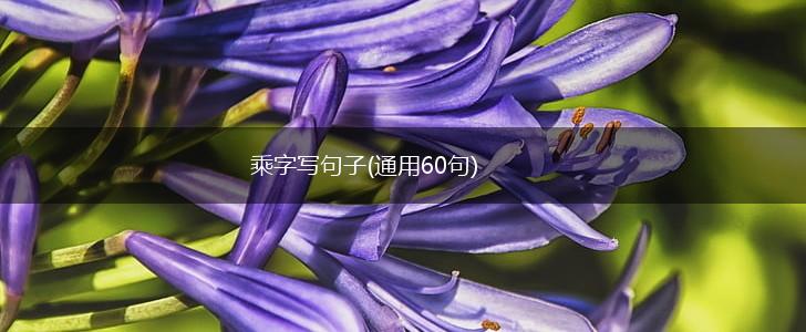 乘字写句子(通用60句),第1张