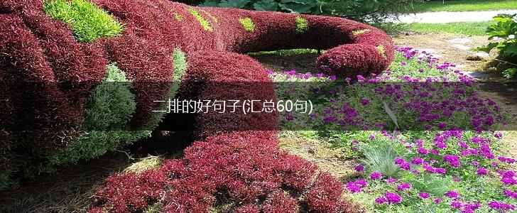 二排的好句子(汇总60句),第1张