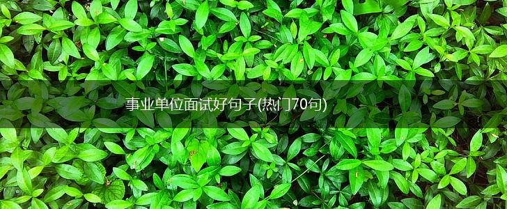 事业单位面试好句子(热门70句),第1张