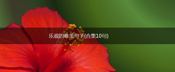 乐观的唯美句子(合集10句),第1张