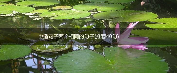 也造句子两个相同的句子(推荐40句),第1张