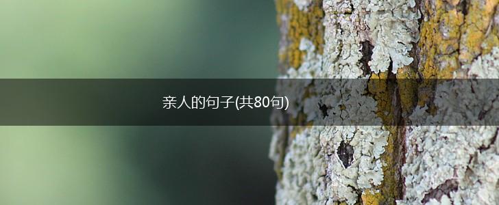 亲人的句子(共80句),第1张