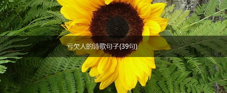 亏欠人的诗歌句子(39句),第1张