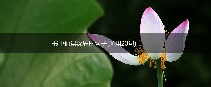书中值得深思的句子(通用20句),第1张