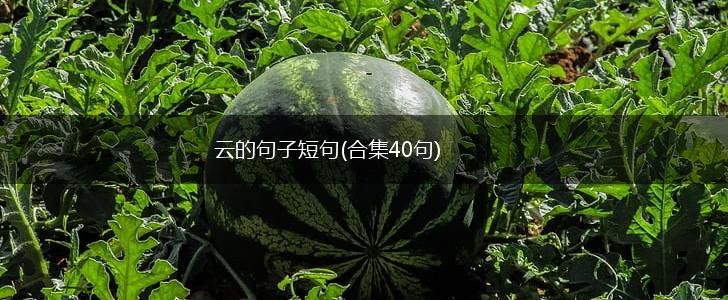云的句子短句(合集40句),第1张