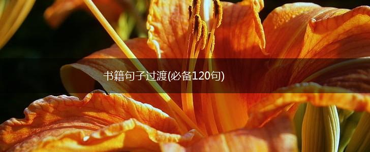 书籍句子过渡(必备120句),第1张
