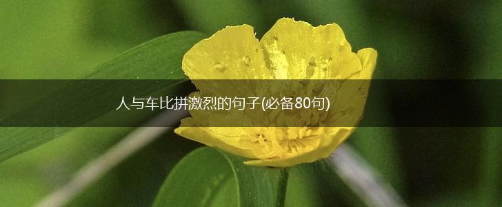 人与车比拼激烈的句子(必备80句),第1张
