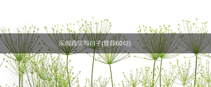 乐得直笑写句子(推荐60句),第1张