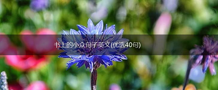 书上的小众句子英文(优选40句),第1张