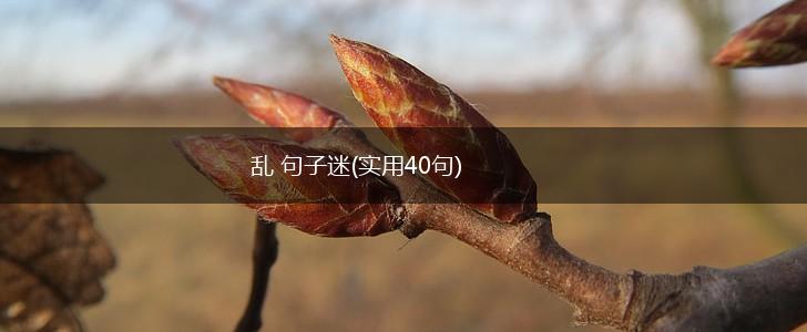 乱 句子迷(实用40句),第1张