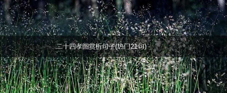 二十四孝图赏析句子(热门21句),第1张
