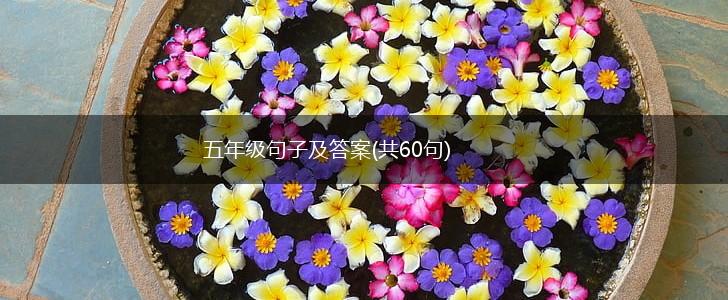 五年级句子及答案(共60句),第1张