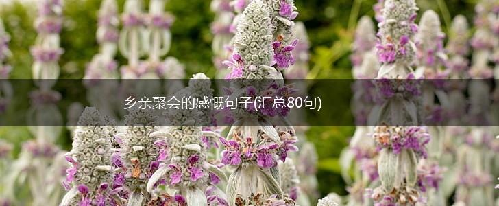 乡亲聚会的感慨句子(汇总80句),第1张