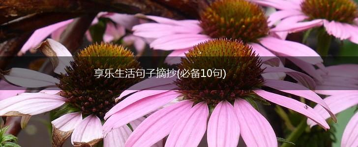 享乐生活句子摘抄(必备10句),第1张