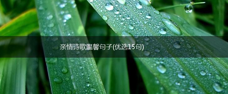 亲情诗歌温馨句子(优选15句),第1张