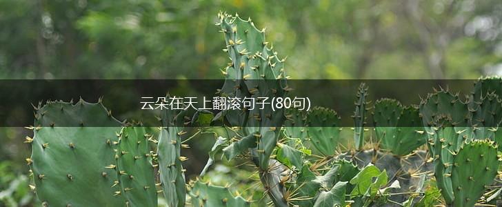 云朵在天上翻滚句子(80句),第1张
