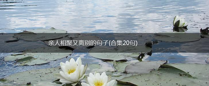 亲人相聚又离别的句子(合集20句),第1张
