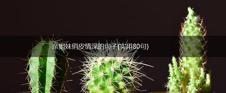 亲姐妹俏皮情深的句子(实用80句),第1张