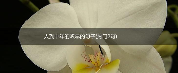 人到中年的叹息的句子(热门2句),第1张