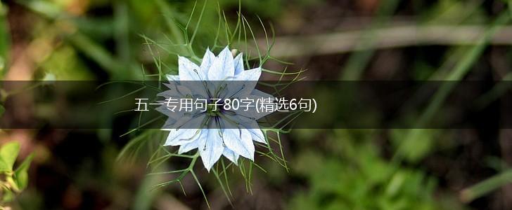 五一专用句子80字(精选6句),第1张